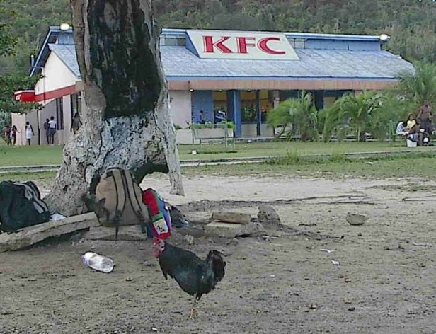 trinidad_chicken6